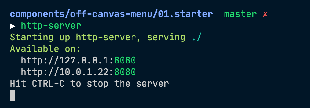 Once you run http-server, you can copy-paste the addresses that appear to see your project.